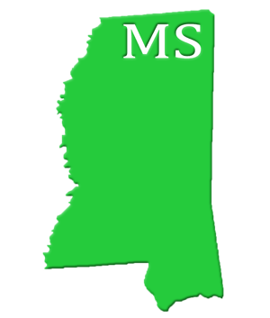 MS State Image